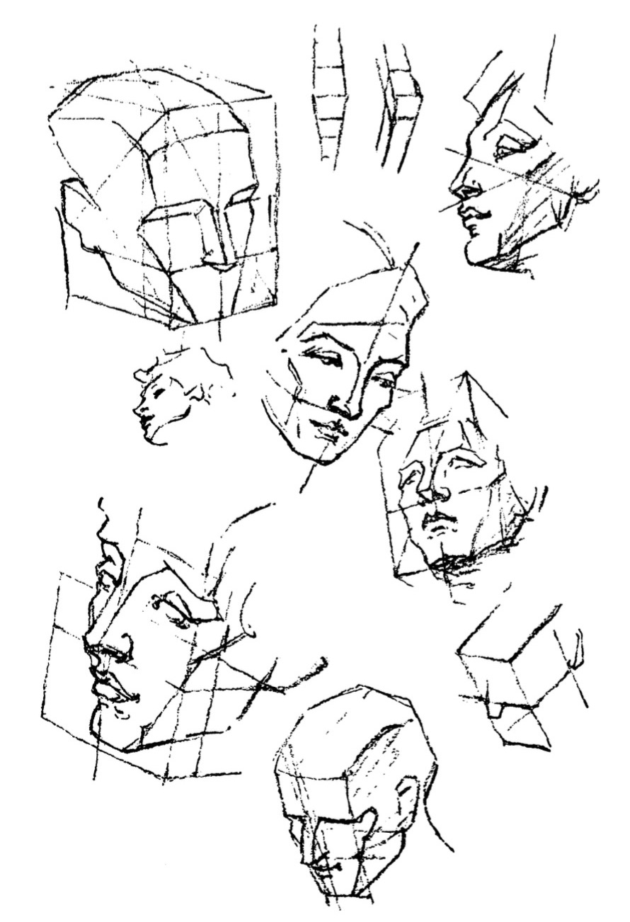 890x1302 Anatomy George Bridgman Drawing Seeing