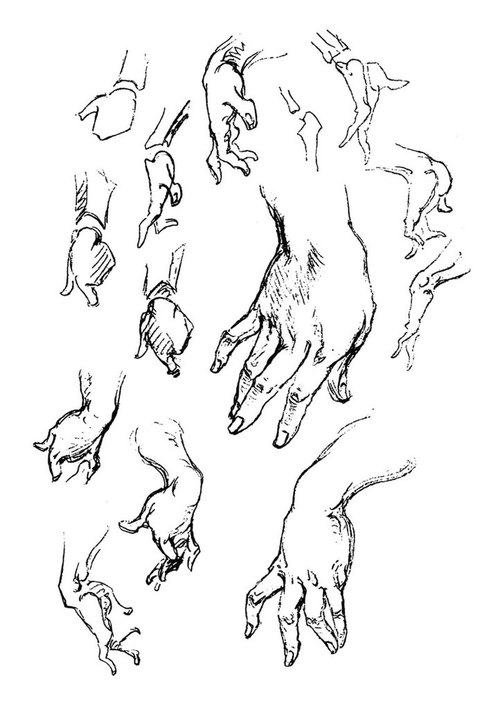 500x709 Book Of A Hundred Hands