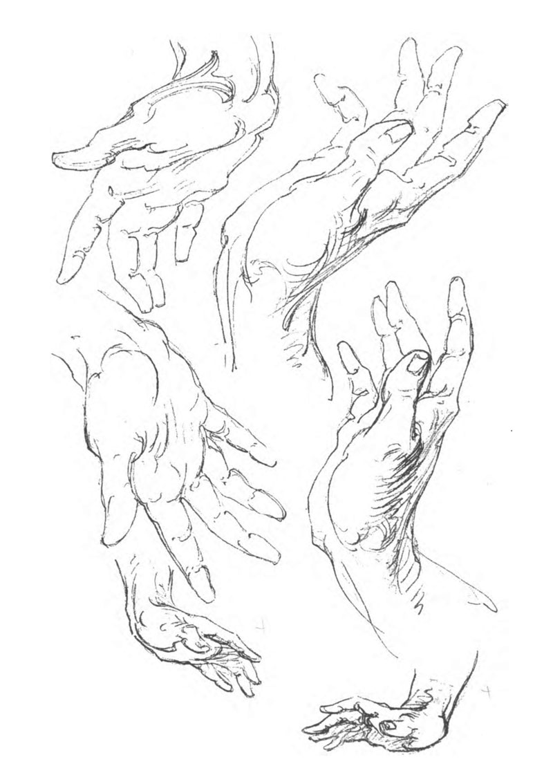 800x1134 Book Of A Hundred Hands