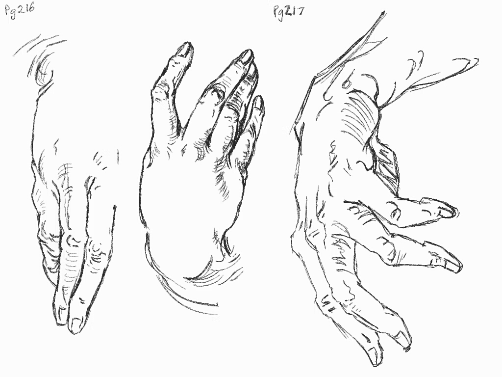 1024x768 Bridgeman 95 By Daiolupo