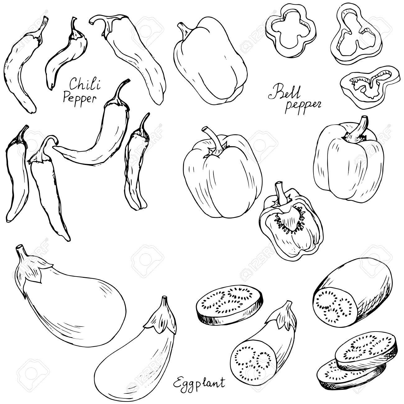 1300x1300 Hand Drawn Vegetables,bell Pepper,chili Pepper And Eggplant