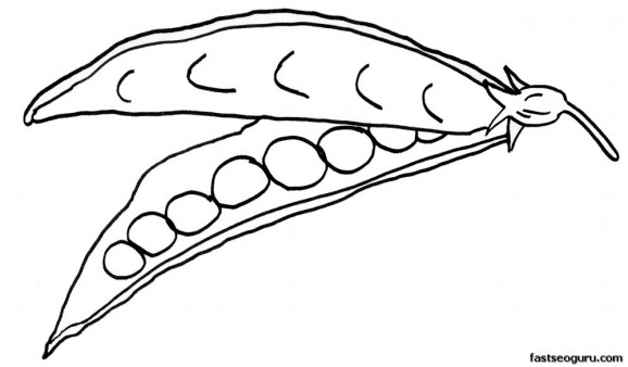 578x338 Drawing For Kids