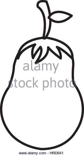 292x540 Eggplant Black And White Stock Photos Amp Images