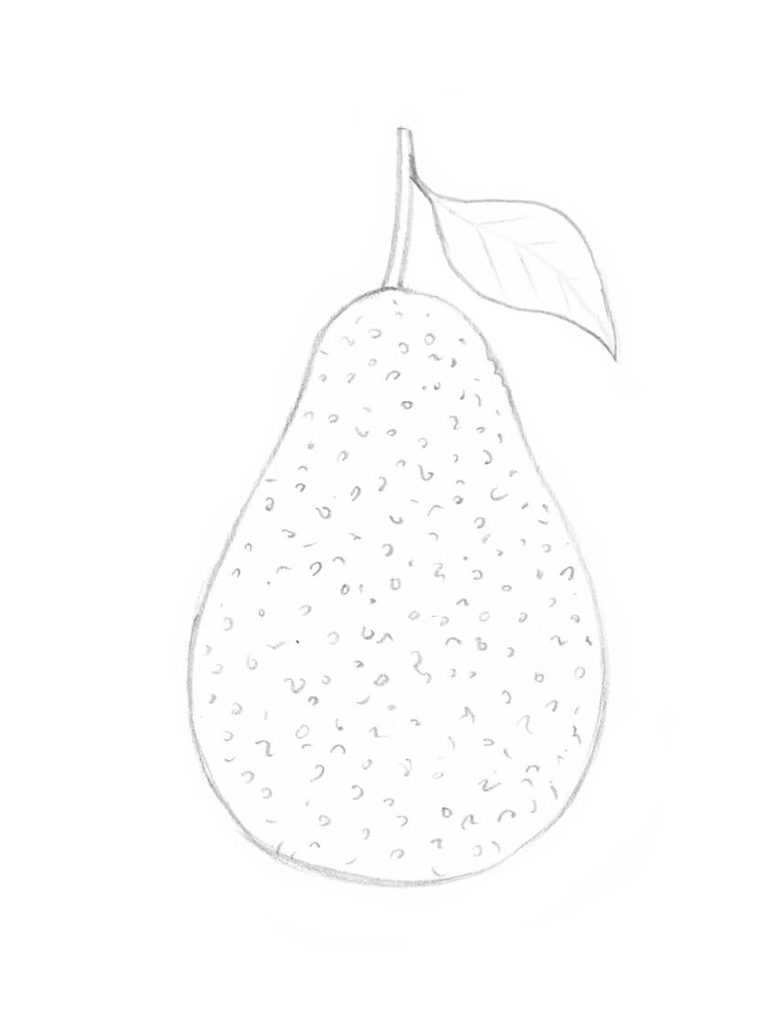 850x1126 How To Draw 10 Different Varieties Of Berry