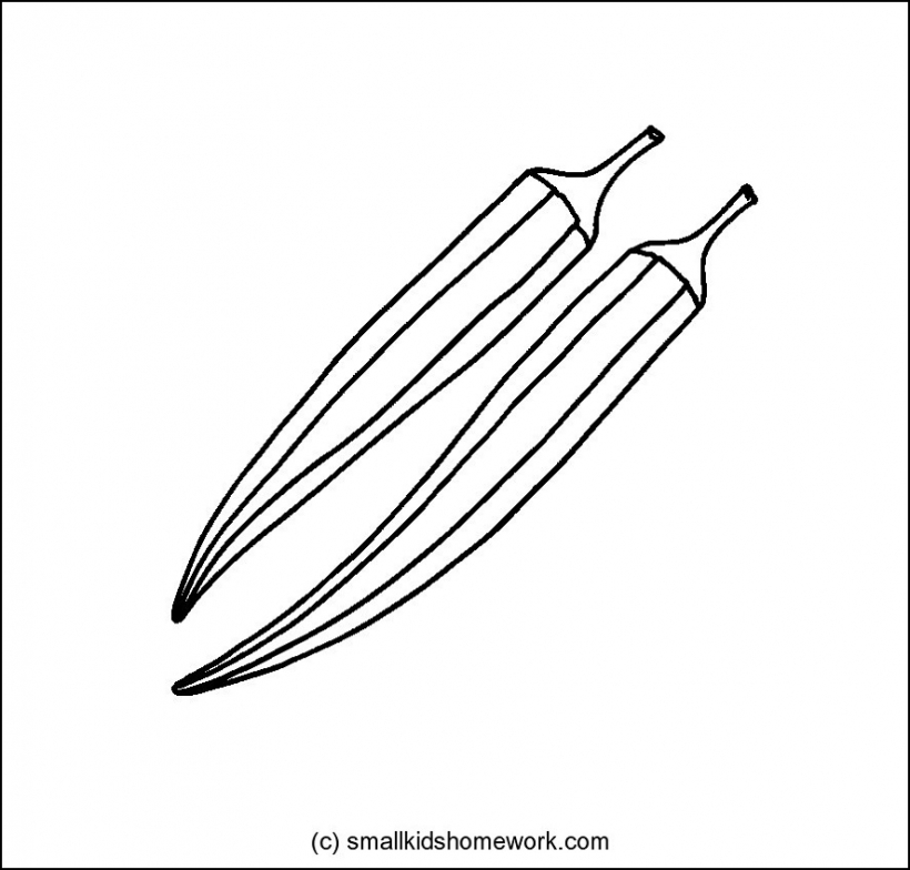 820x784 Brinjal Drawing