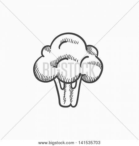 450x470 Broccoli Vector Sketch Icon Vector Amp Photo Bigstock