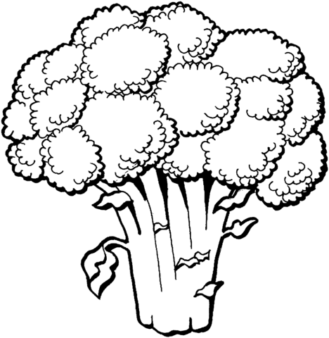 468x480 Broccoli Coloring Page Free Printable Coloring Pages