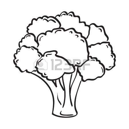450x450 Atristic Hand Drawn Illustration Of Broccoli, Ink Drawing