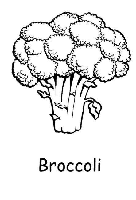 443x650 Broccoli Coloring Pages 3 Nice Coloring Pages For Kids