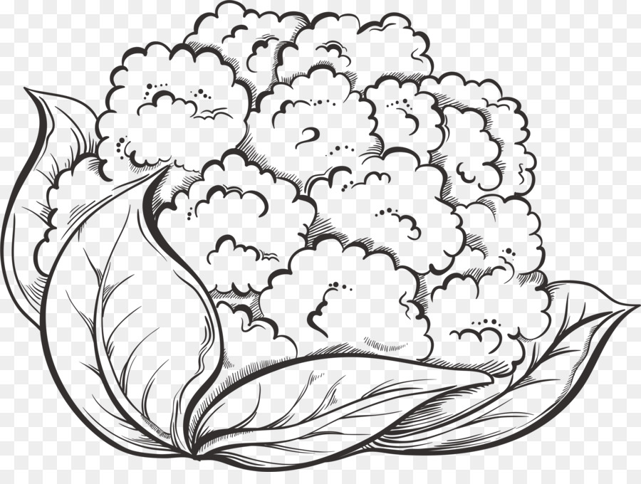 900x680 Cauliflower Drawing Vegetable Broccoli
