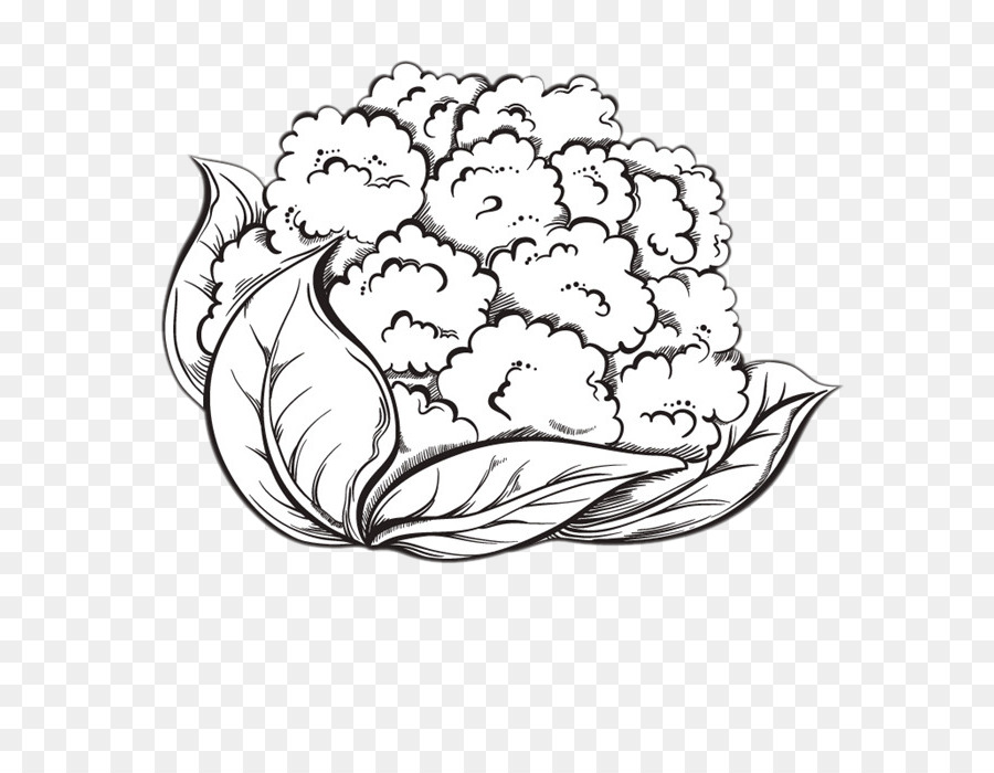 900x700 Cauliflower Cheese Broccoli Drawing