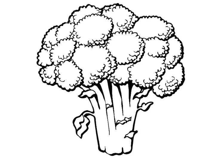 750x531 Coloring Page Broccoli