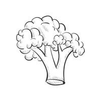 200x200 Food Foods Vegetable Vegetables Vege Veges Drawing Drawings