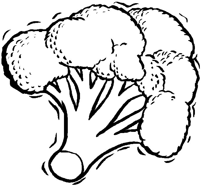 691x637 Healthy Food Broccoli Vegetable Coloring Pages Healthy Food