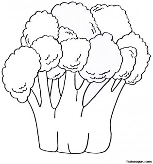 315x338 Printable Vegetable Broccoli Coloring Pages