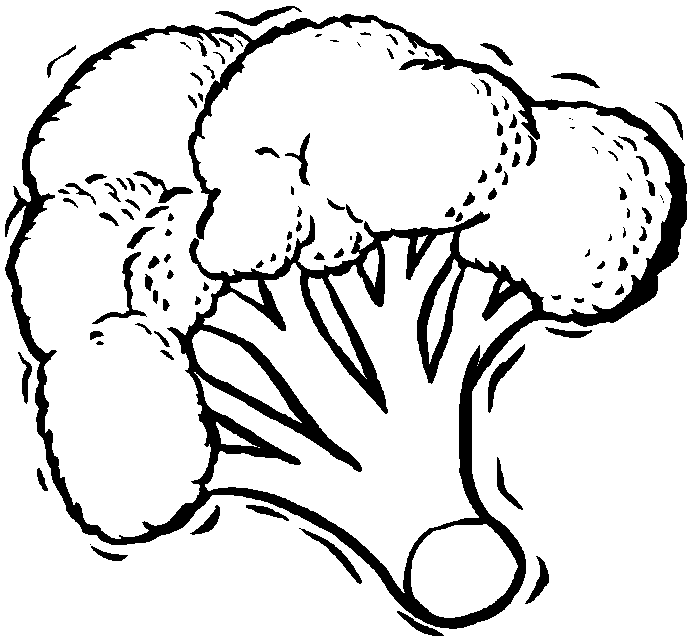 Broccoli Drawing