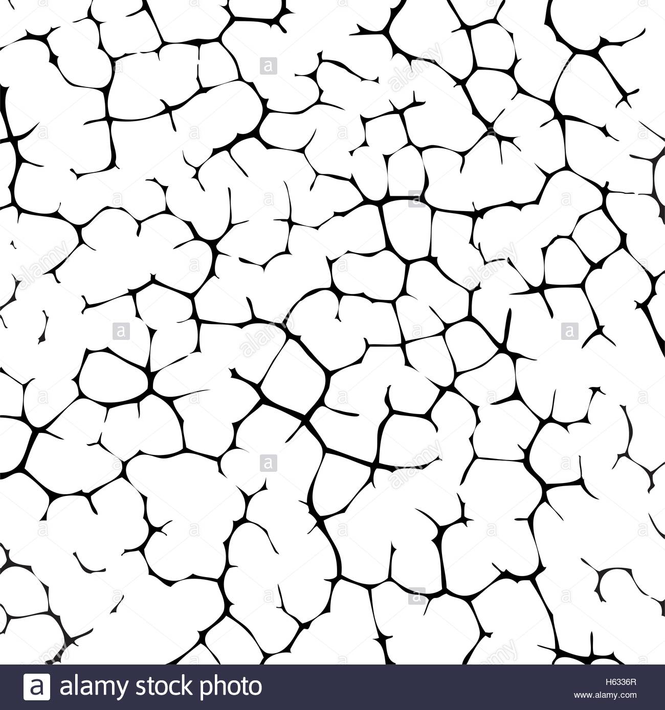 1300x1389 Vector Black And White Cracked Texture Of Wall Or Earth Stock