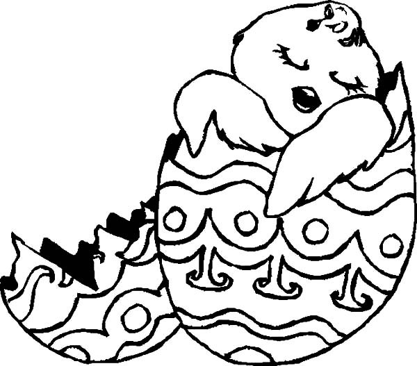 600x527 Baby Chicken Sleeping In Broken Egg Coloring Pages Best Place