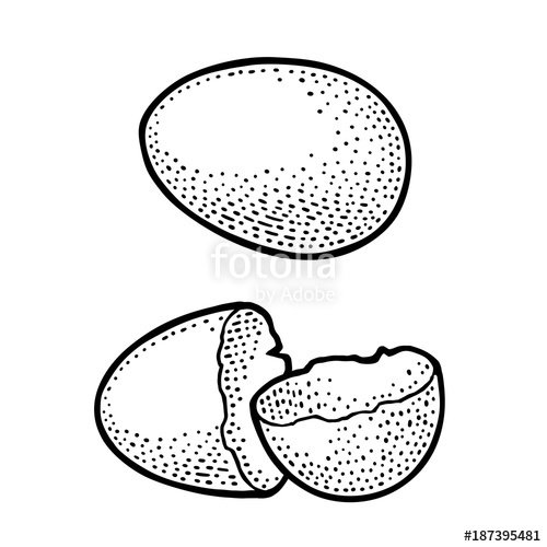 500x500 Broken Egg Shell. Vintage Black Engraving Illustration Stock