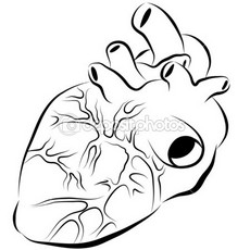 230x230 Drawn Broken Heart Human Heart