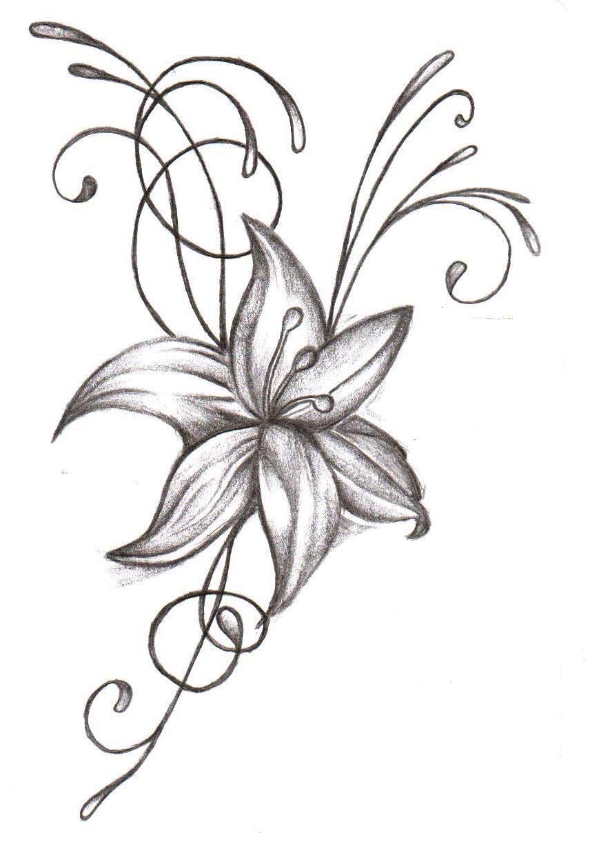 856x1221 Sterling Easy Flower Drawings Along With Easy Flower Drawings
