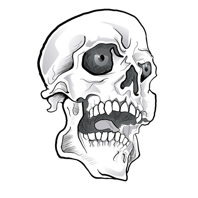 660x660 Skull Bones Vectors Download Free Vector Art Amp Graphics