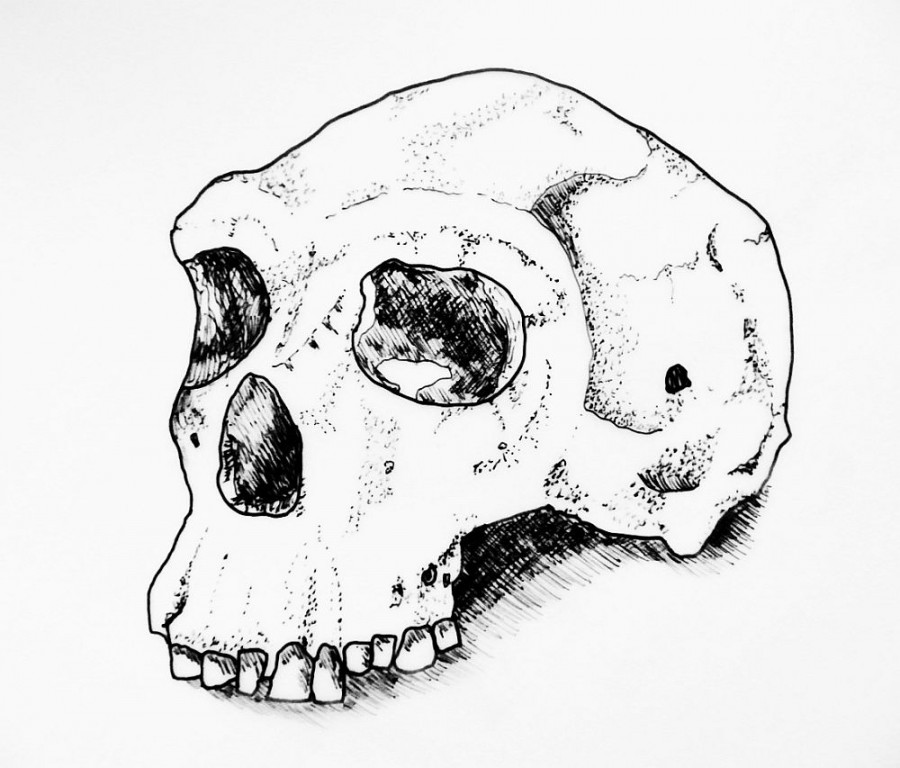 900x768 Botany Bay Brick Pit