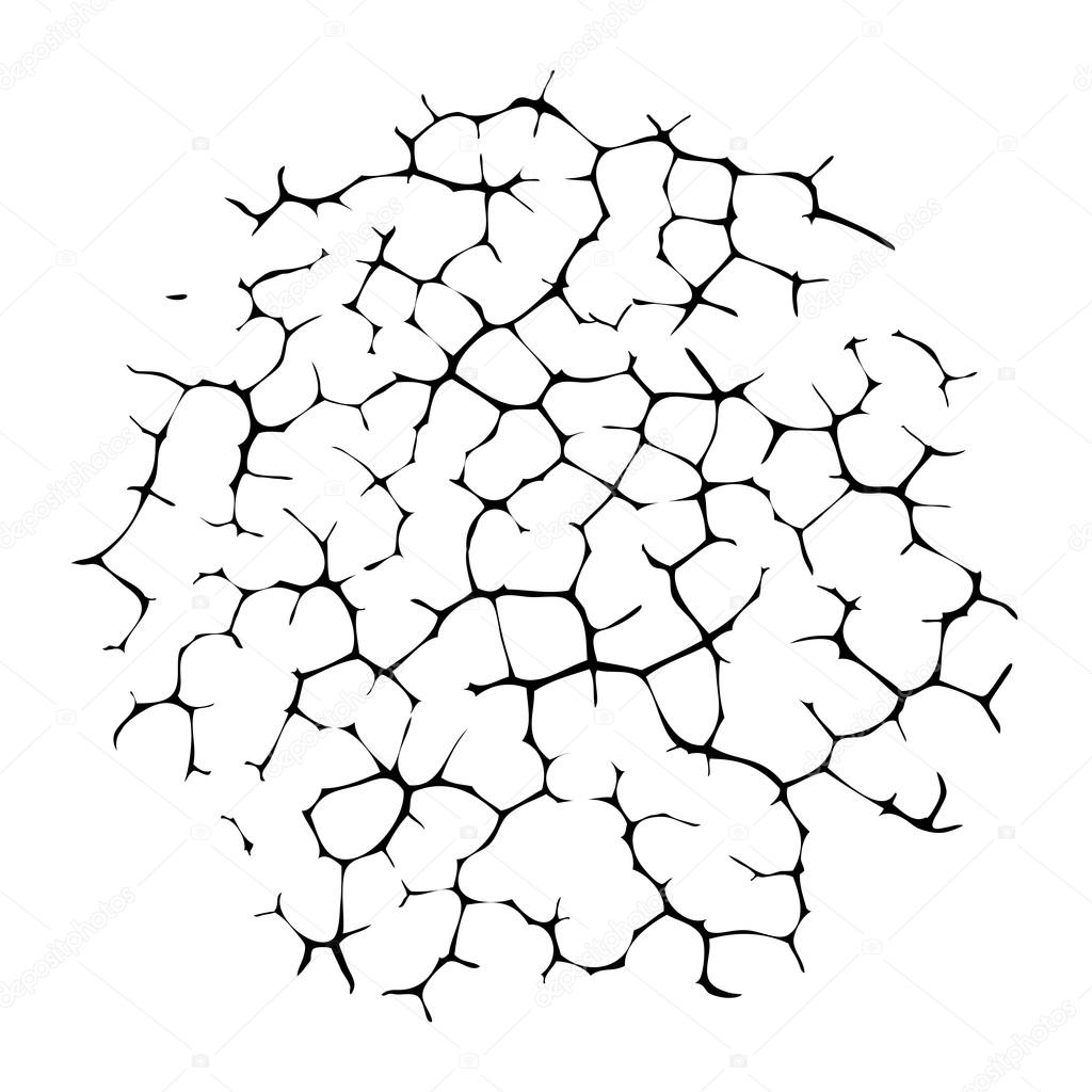 1024x1024 Vector Cracked Wall Or Desert Land Background Stock Vector