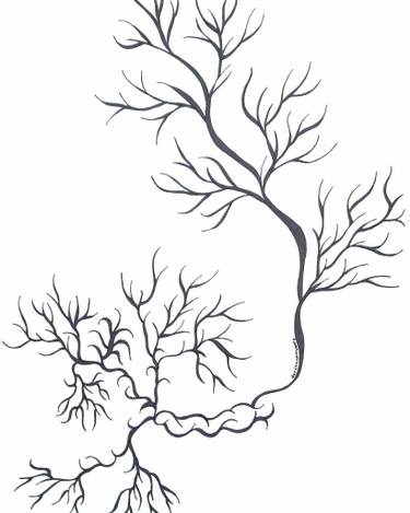 375x469 Buy Original Surrealism Tree Drawings Online Saatchi Art