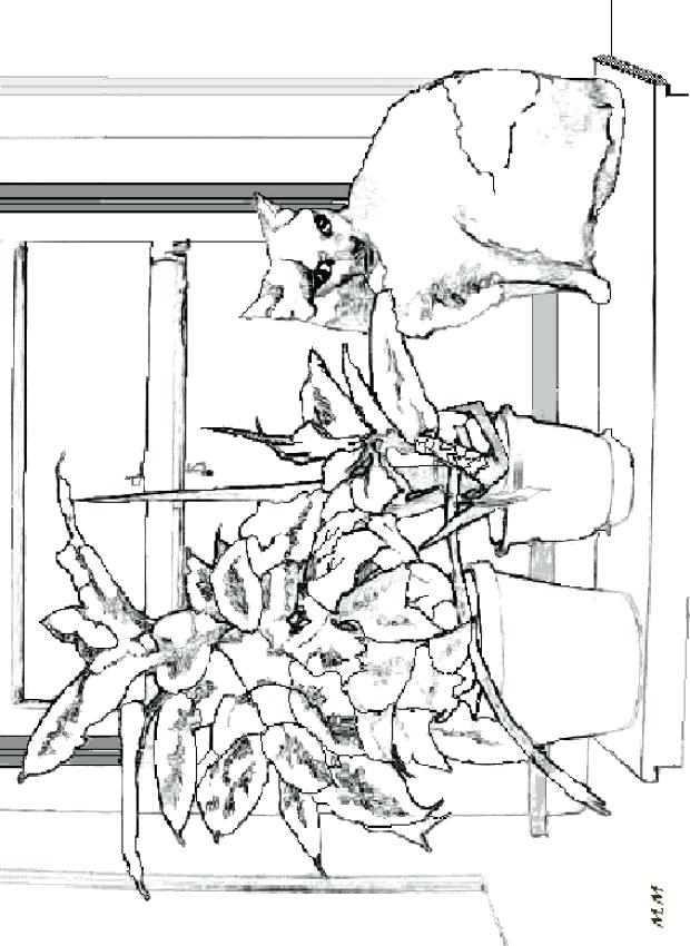 620x850 Window Coloring Page Synthesis.site