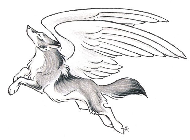 620x459 Drawn Wings Awesome