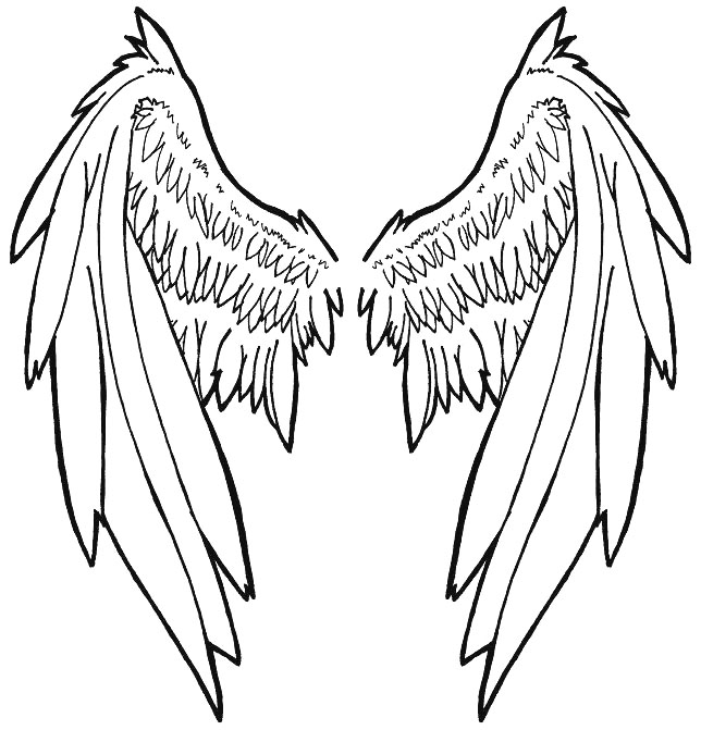 644x671 Wings By Pheonia Serafial