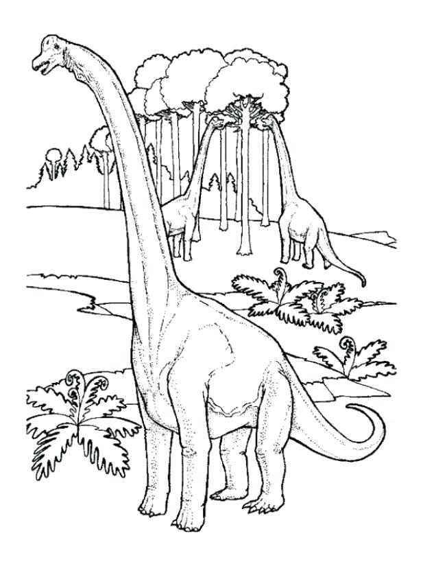 617x822 Brontosaurus Coloring Pages Preschool For Amusing Print Photo Page
