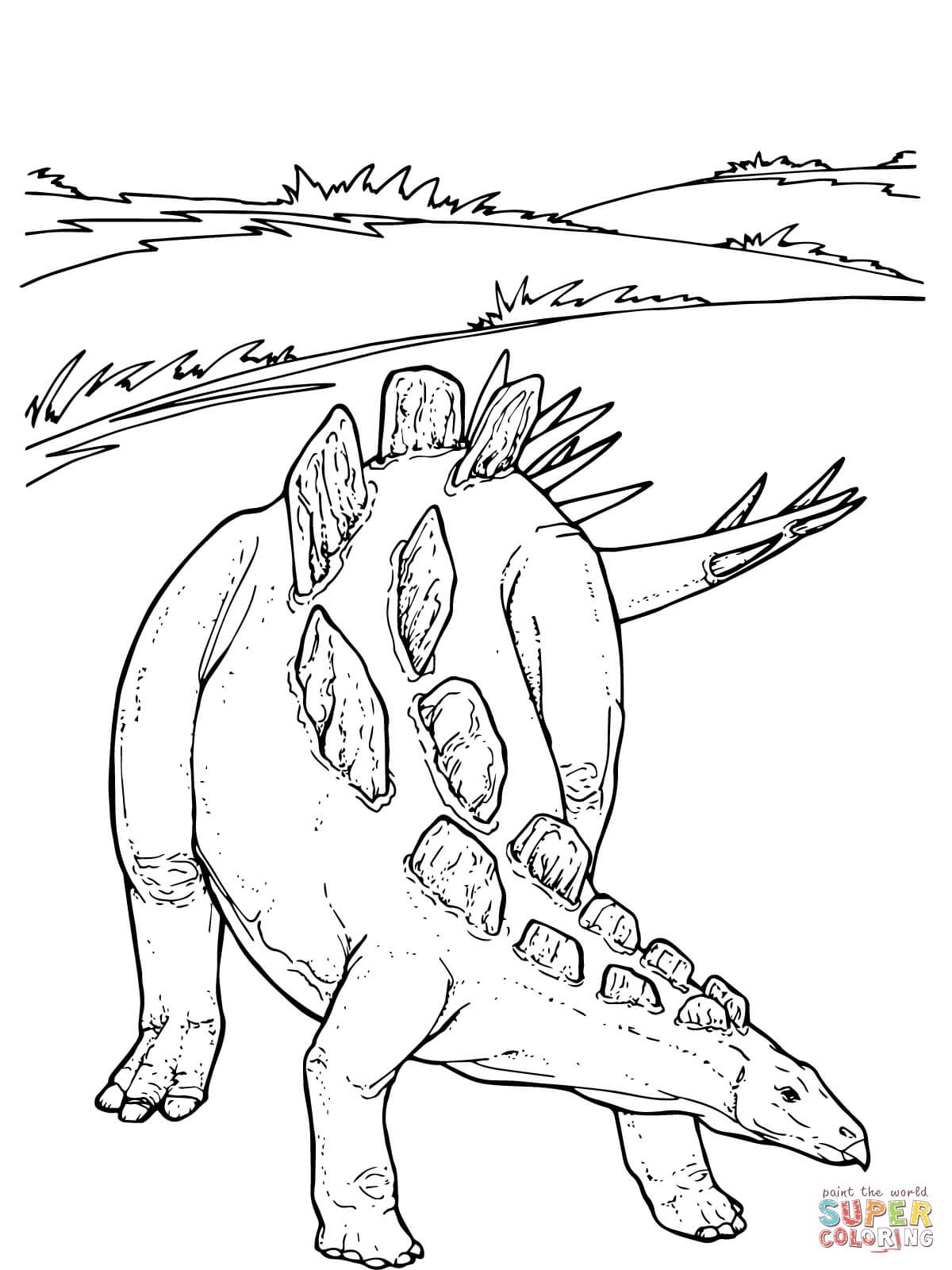 1200x1600 Brontosaurus Dinosaur Coloring Pages For Kids Fresh Wuerhosaurus