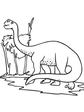 360x480 Brontosaurus Coloring Page Free Printable Coloring Pages