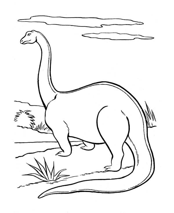 600x734 Standing Neck Brontosaurus In Dinosaur Coloring Page Coloring