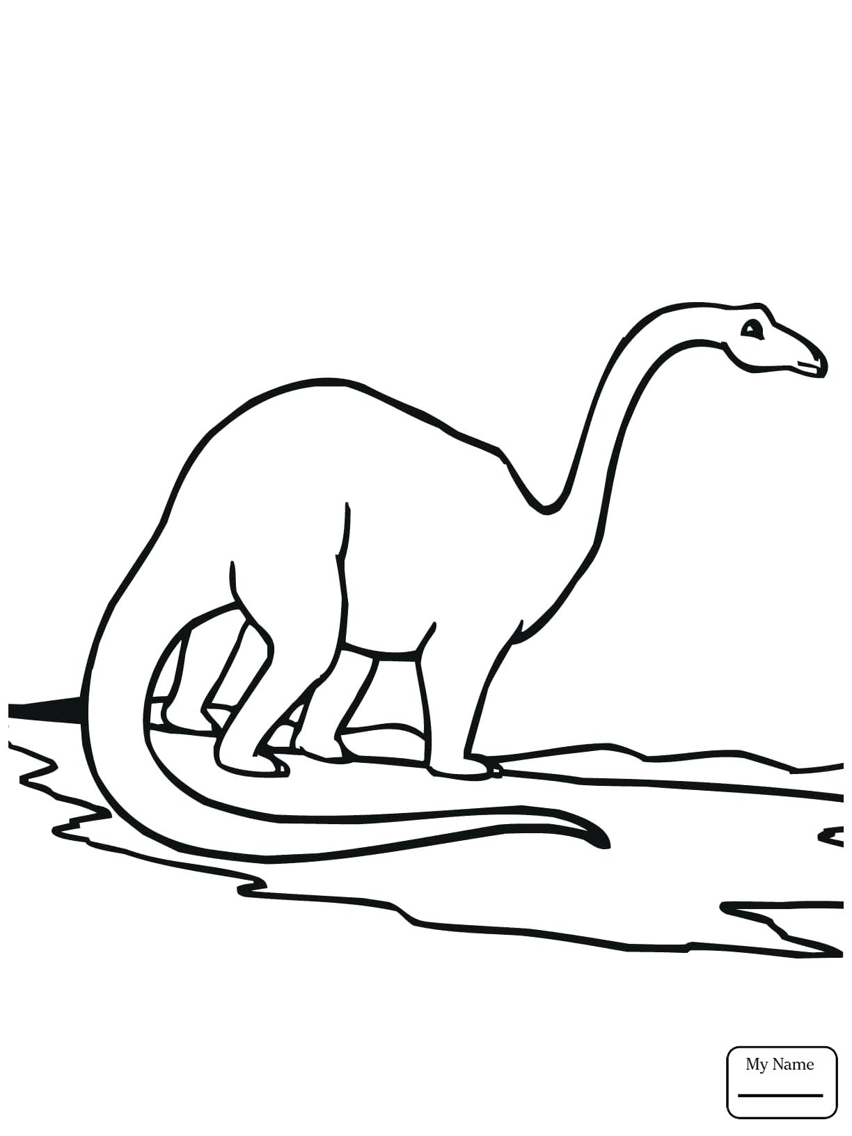 1224x1632 Coloring Stegosaurus Coloring Dinosaurs Brontosaurus And Pages