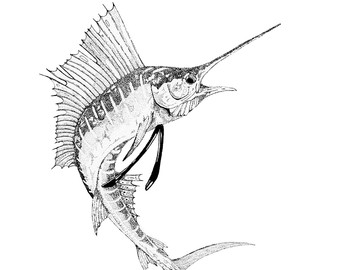 340x270 Fish Drawings Etsy