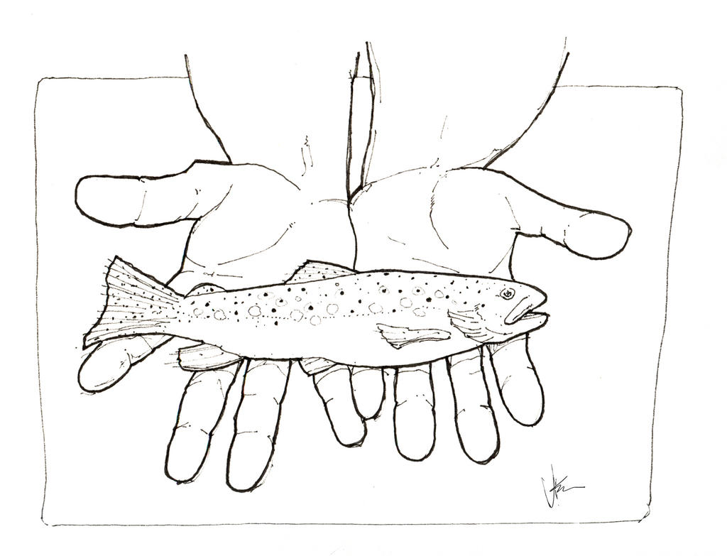 1024x783 Just Sketching Brown Trout