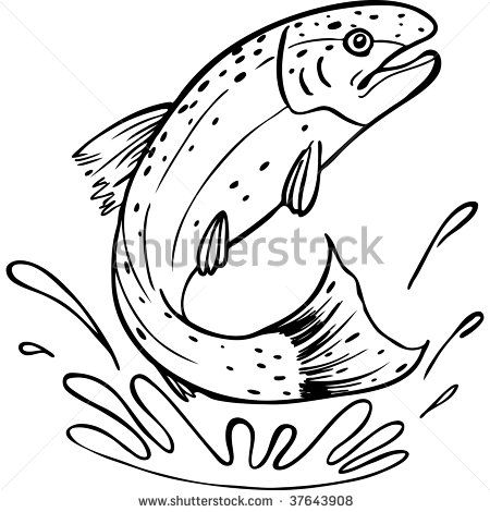 450x470 19 Best Trout Stuff Images On Fish Art, Fishing