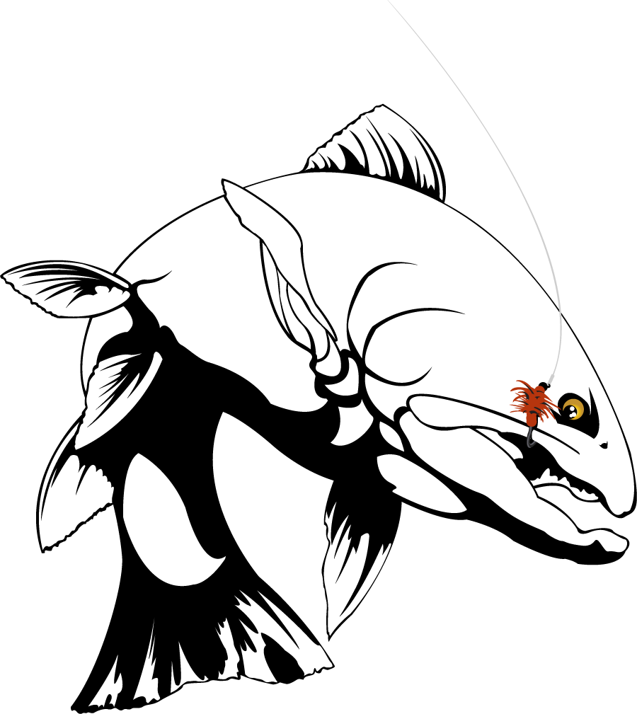 900x1009 27 Images Of Trout Drawing Template