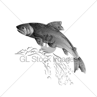 325x325 American Brook Trout As Wrought Metal Vintage Vector Gl Stock Images