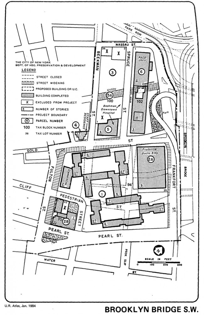650x1005 Ahi United States