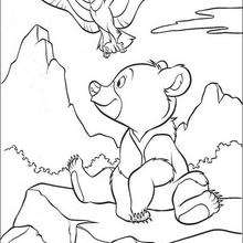 220x220 Brother Bear 39 Coloring Pages