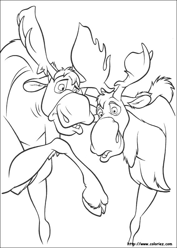 567x794 Coloring Pages Brother Bear