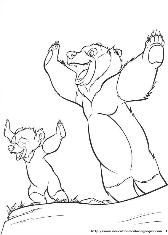 567x794 Brother Bear