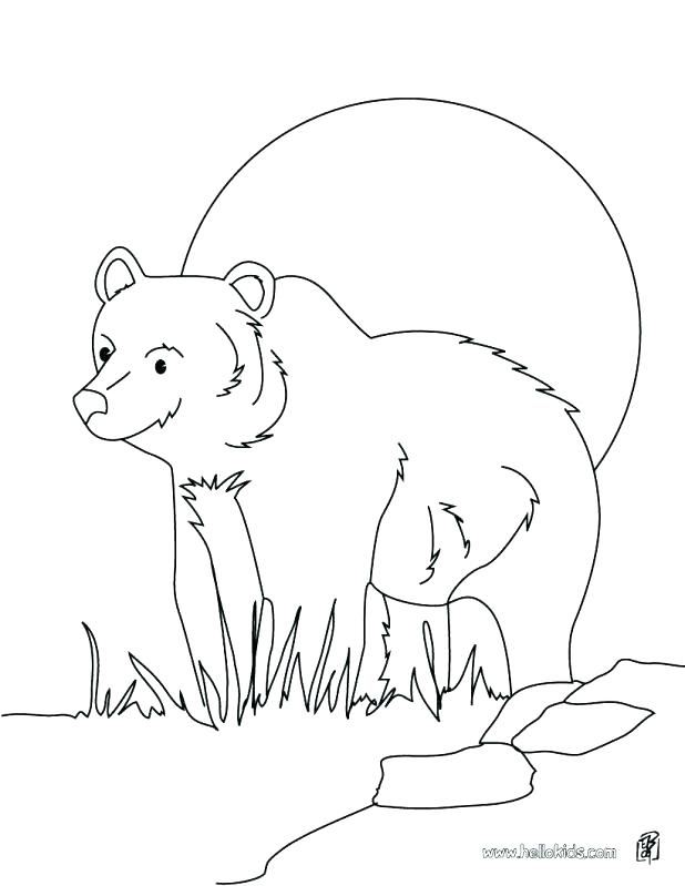 618x799 Brown Bear Coloring Sheet Little Brown Bear Coloring Picture Big