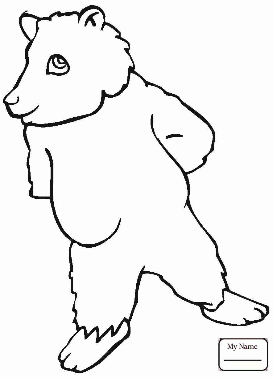 885x1224 Coloring Pages Brown Bears Brown Bear 12 Mammals