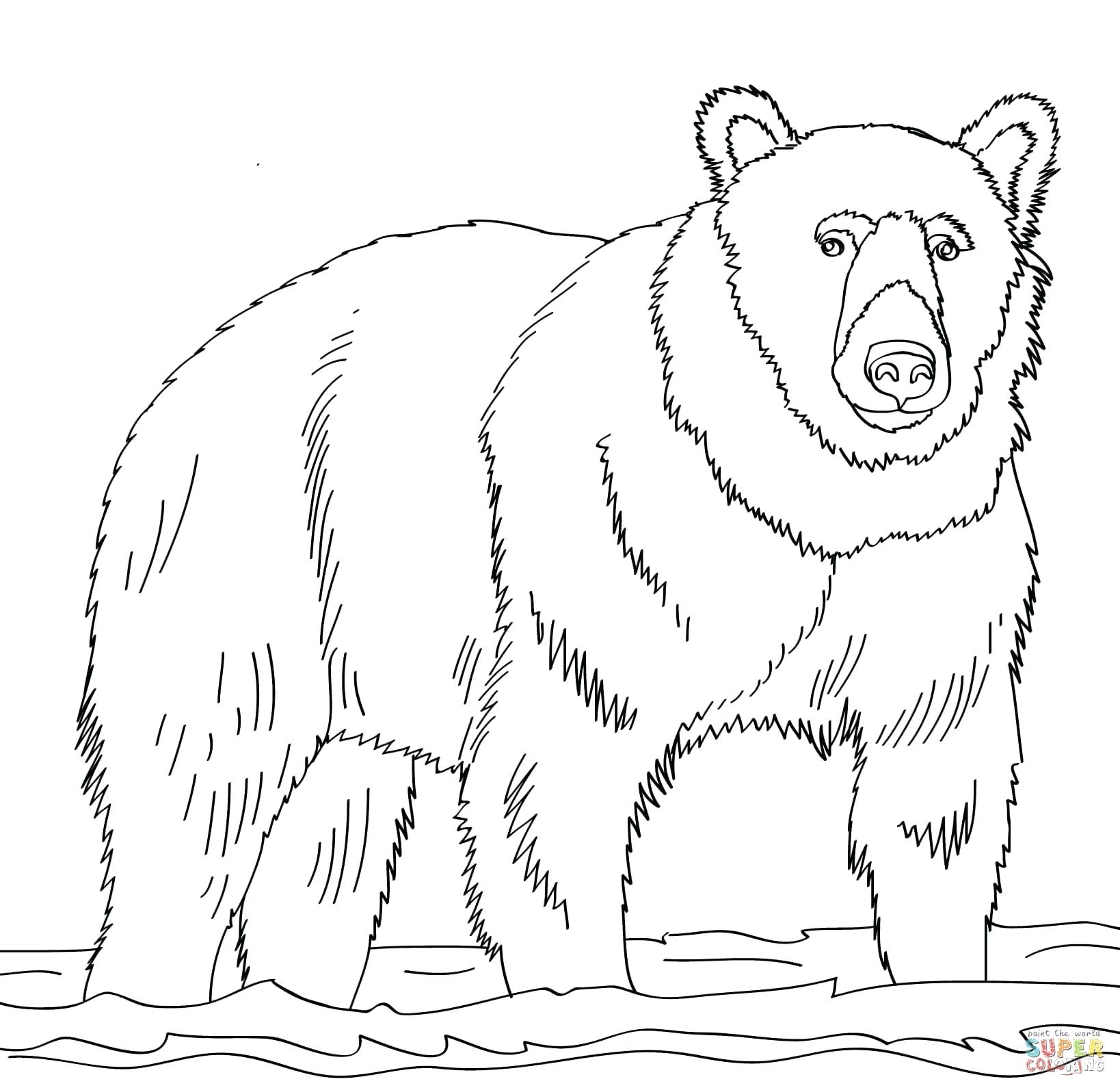 1638x1593 Printable Brown Bear Brown Bear Printable Coloring Book