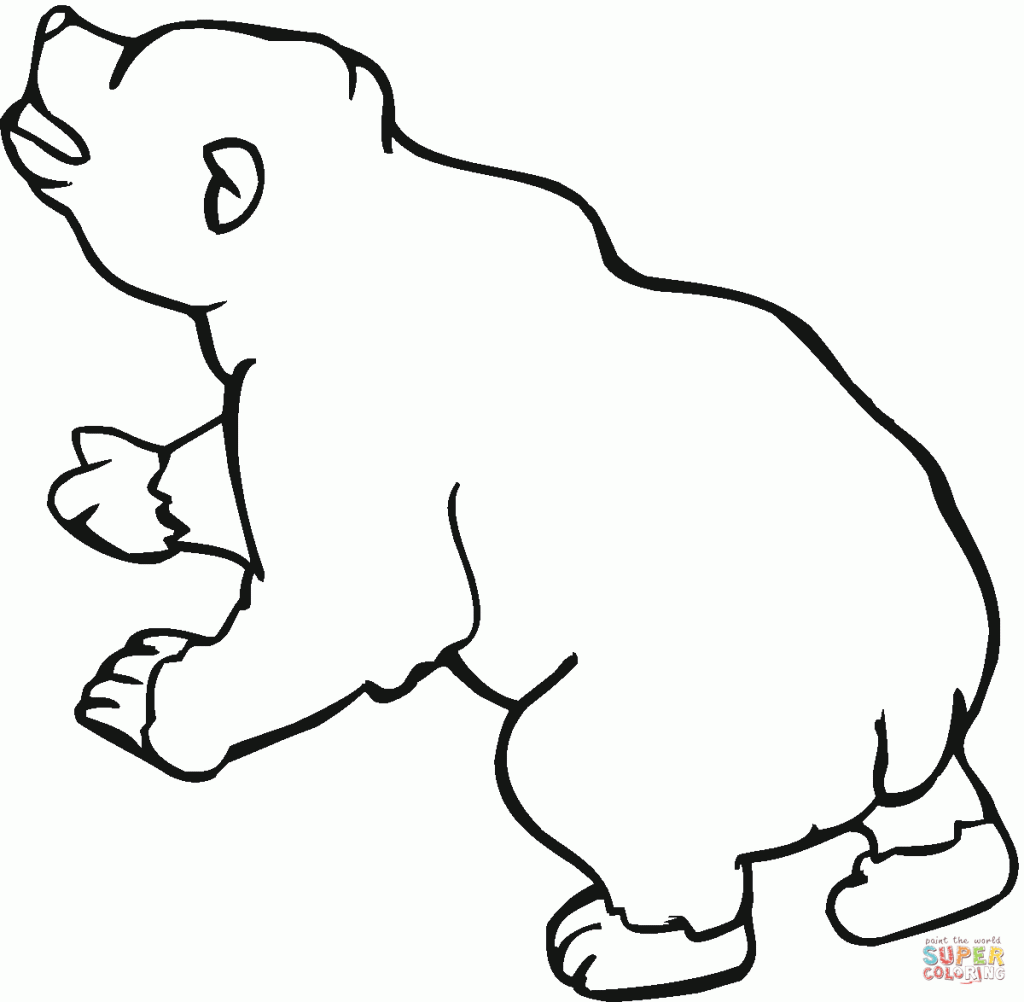 1024x1002 Brown Bear At Coloring Page